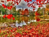 Click for preview picture of "1615714-.. (800 x 600)"